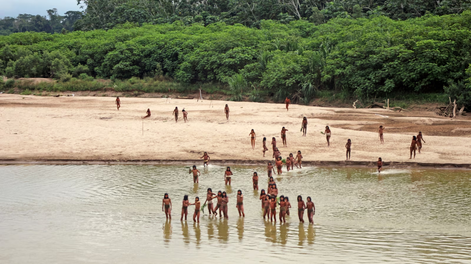 largest uncontacted tribe