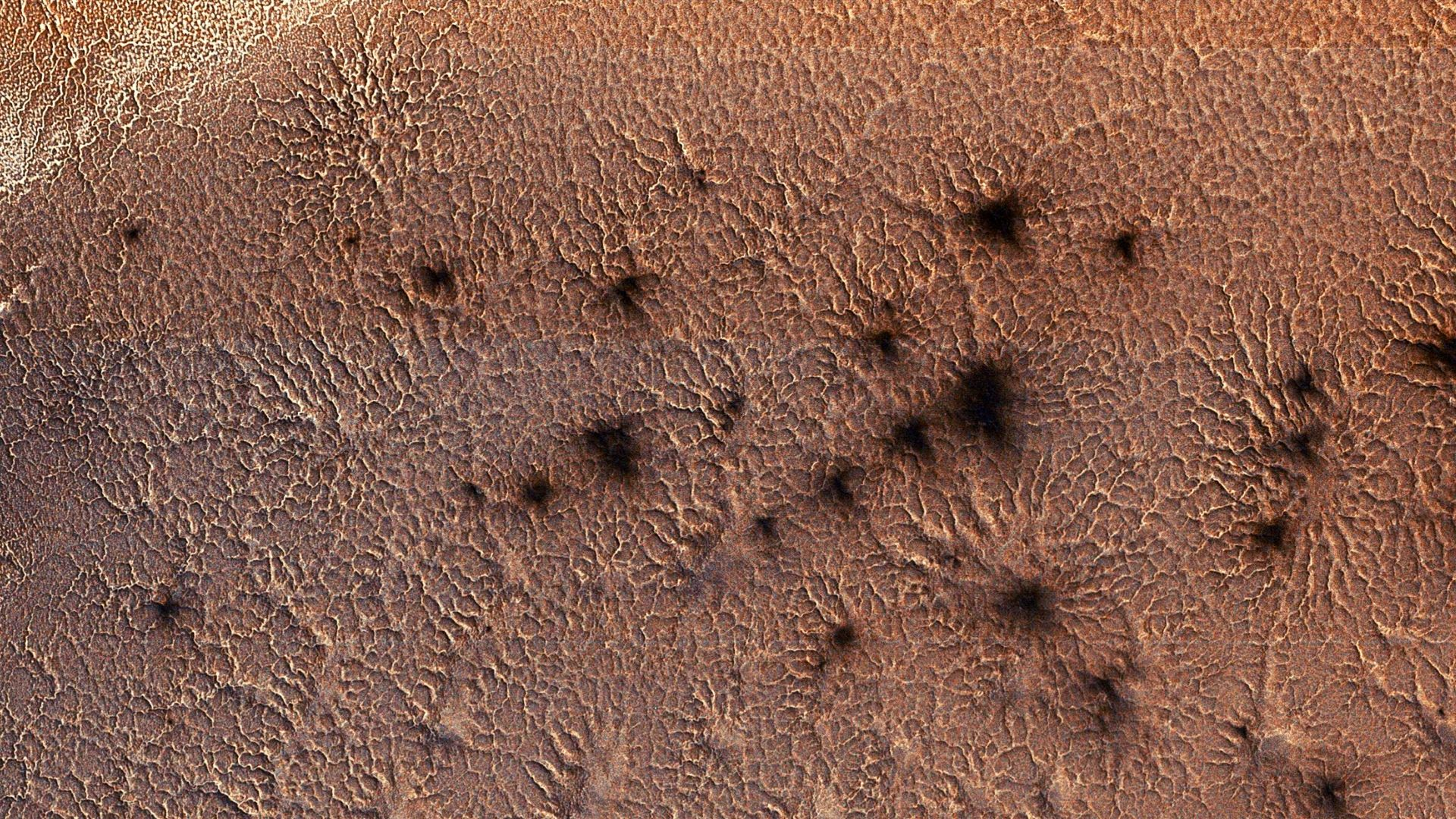 Martian Spiders