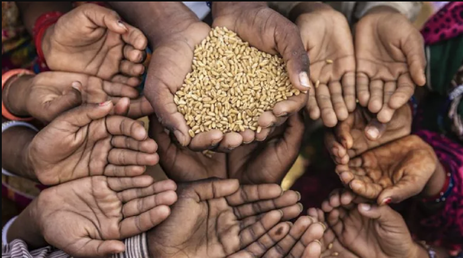 Global Hunger Index 2024