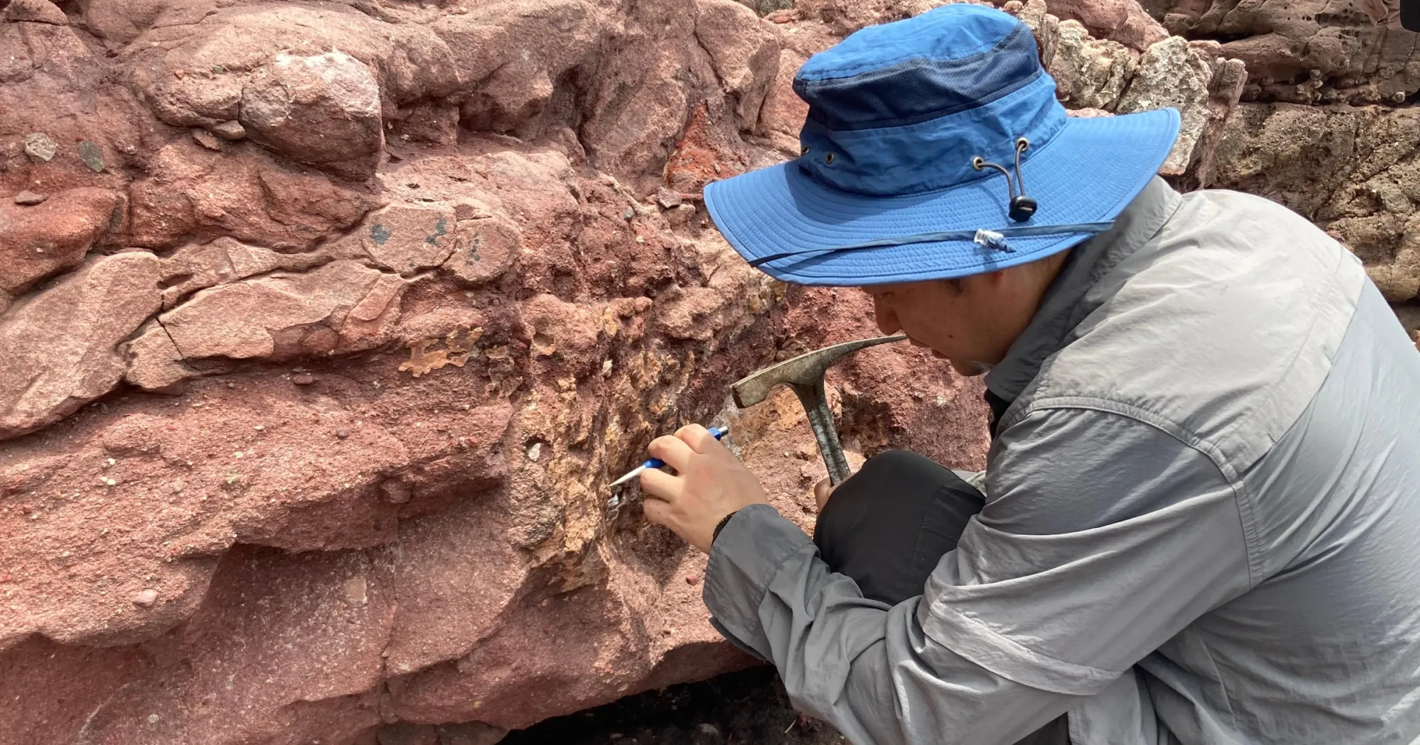 Dinosaur Fossils Discovered in Hong Kong