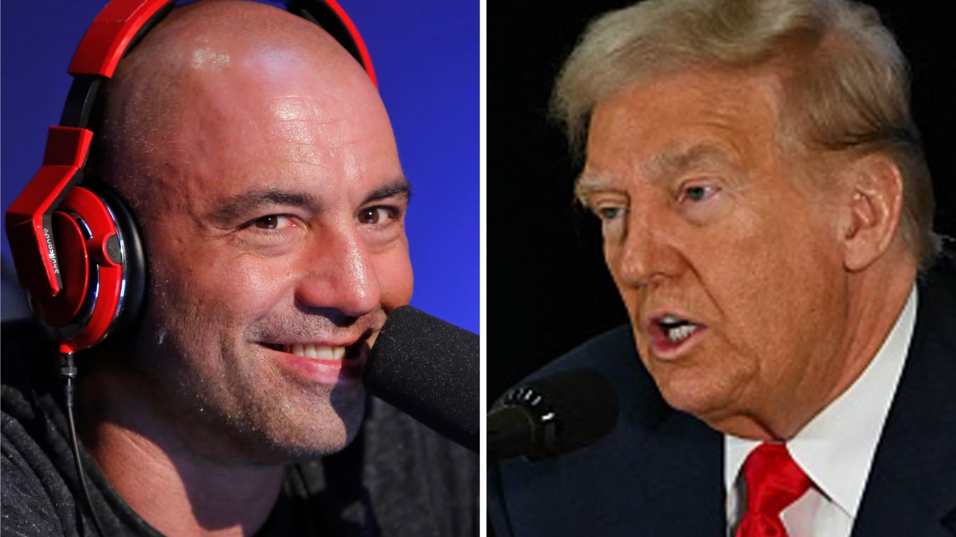 Joe Rogan Podcast with Donald Trump