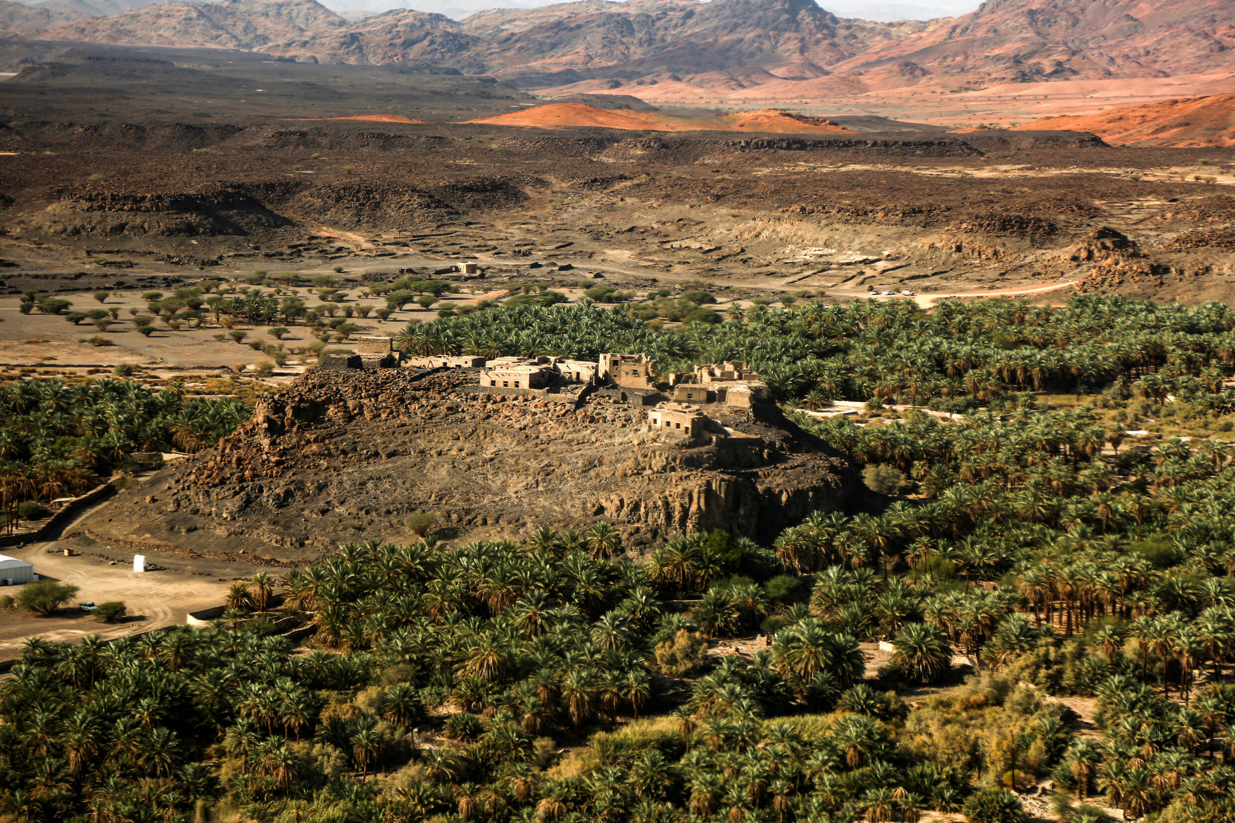 Hidden Town Discovered in Arabian Oasis