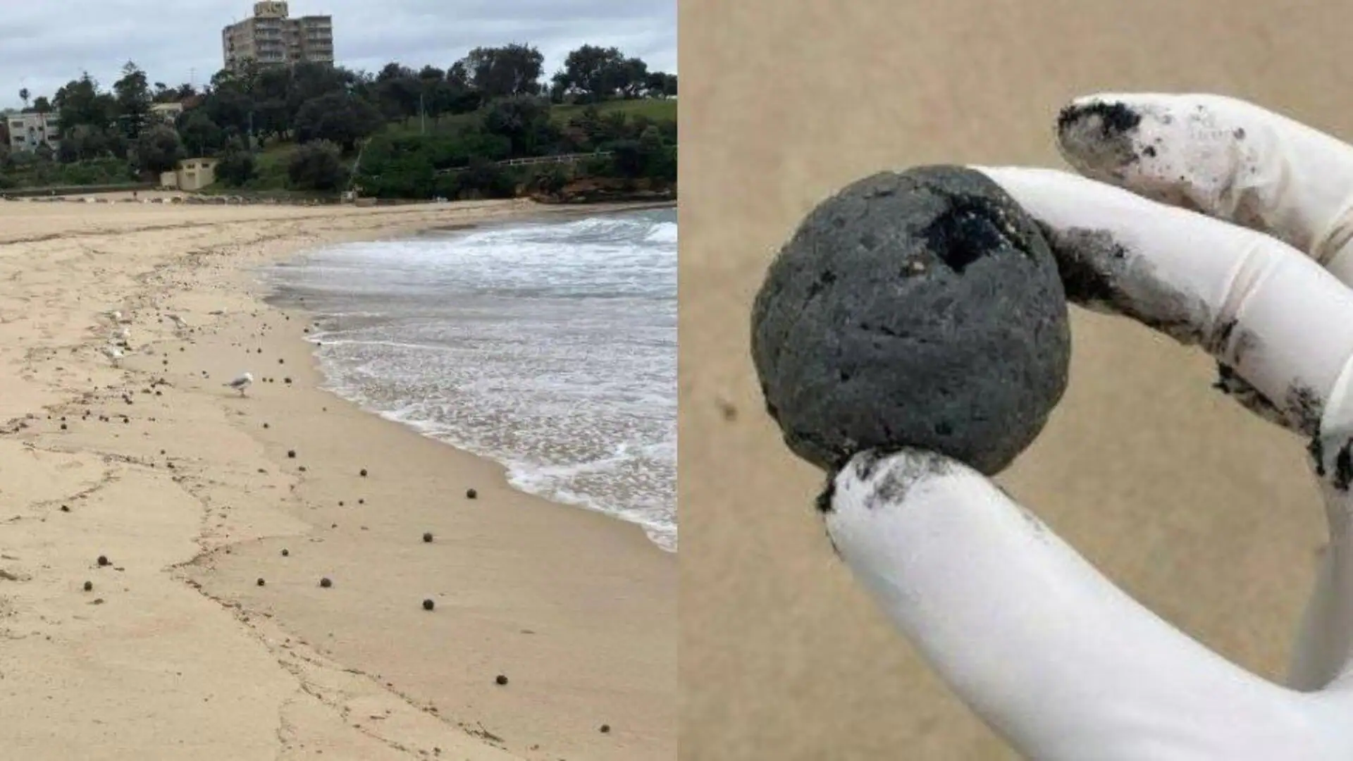 Black Balls on Sydney Beaches