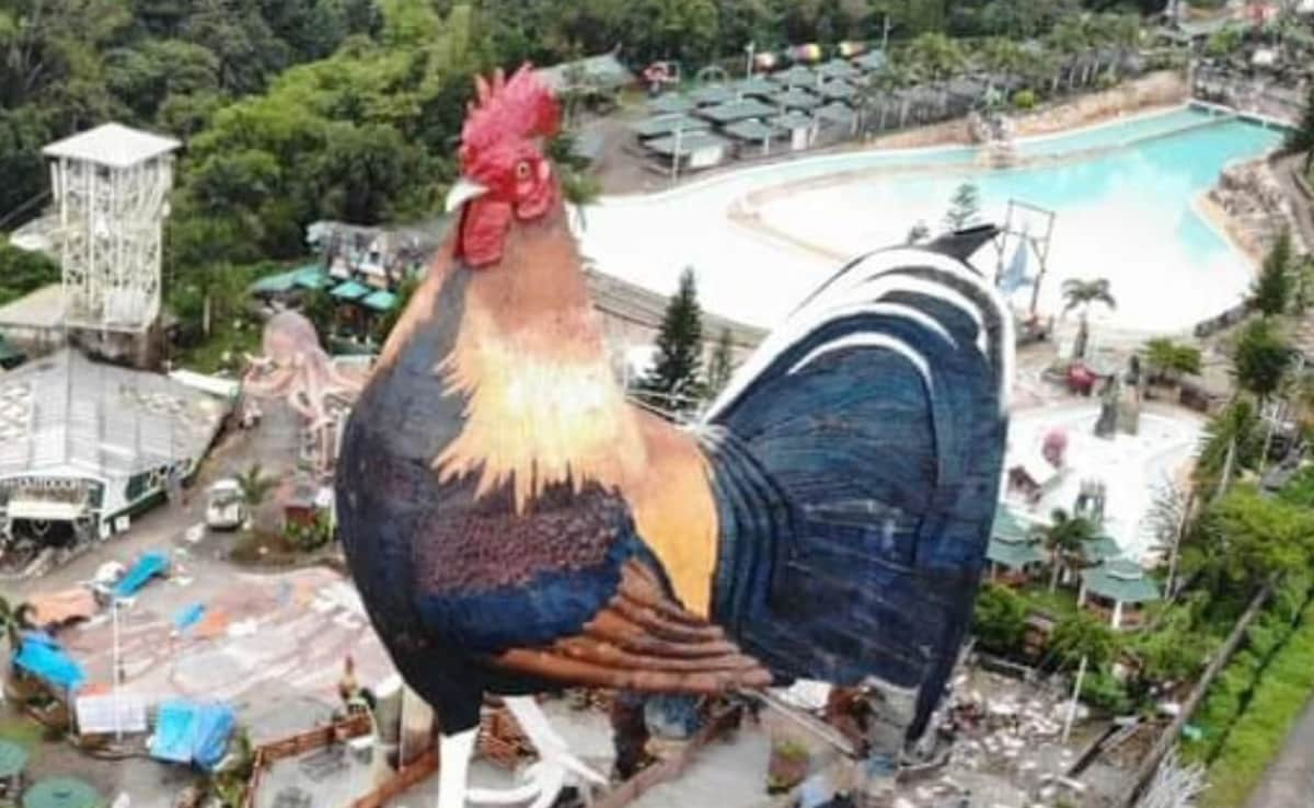 World's Largest Chicken-Shaped Building