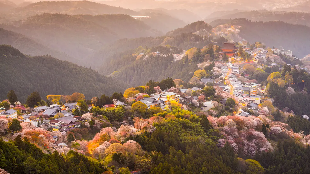 Flower Blooms Every 50 Years