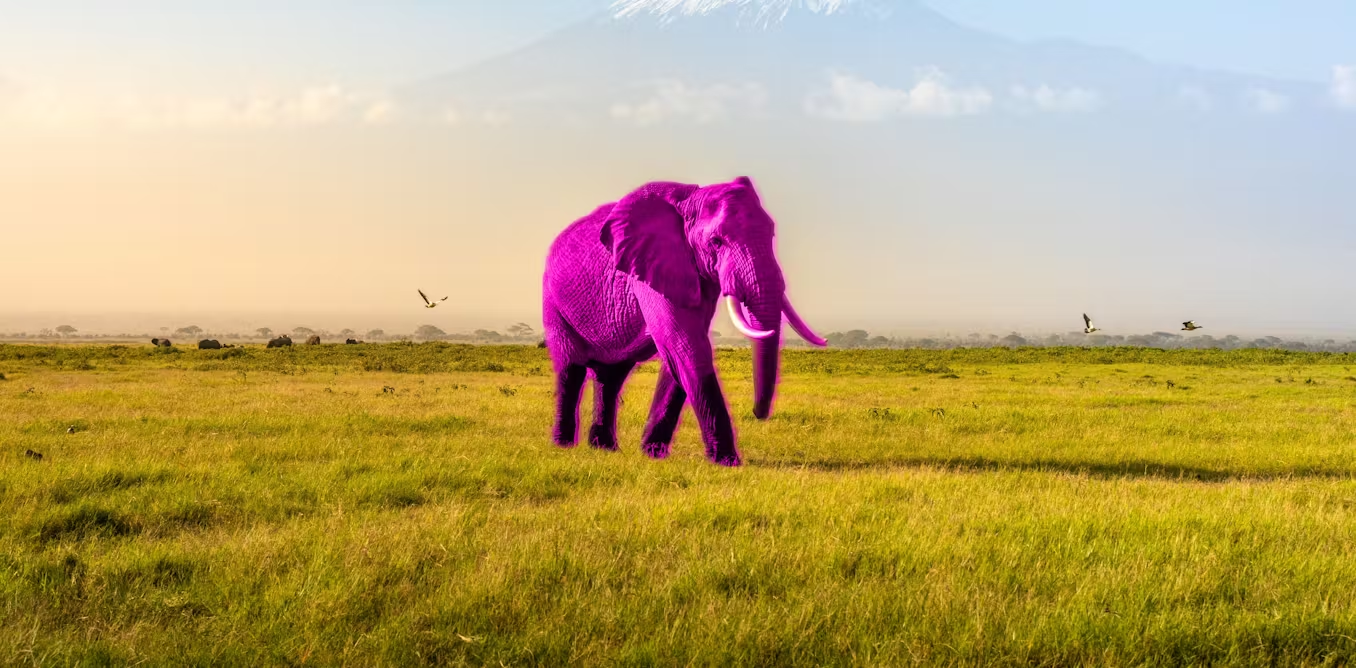 pink elephant test