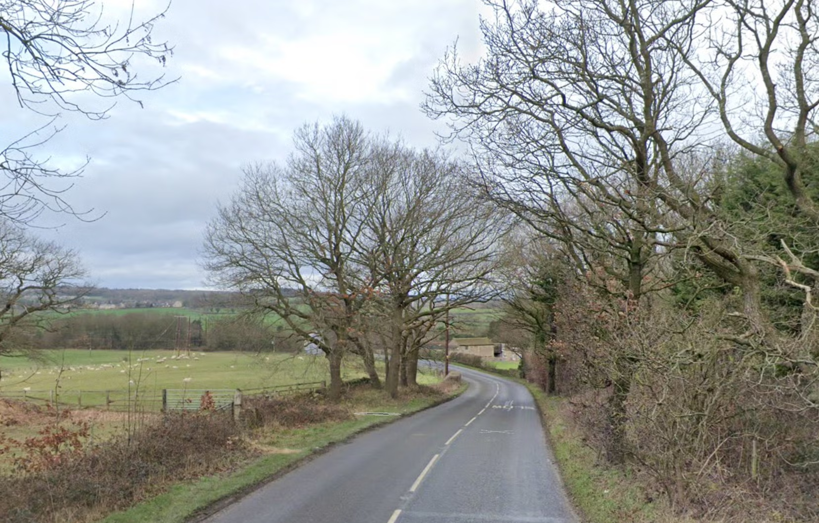 Three Teenagers Killed After Car Hits Tree