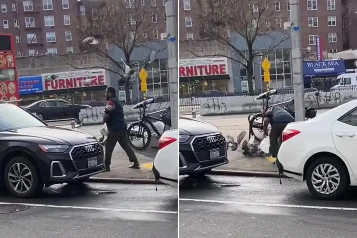 Food truck worker captured live pigeon using a plastic bag,