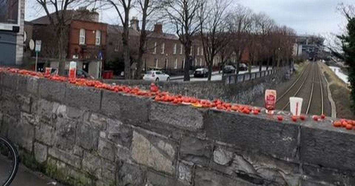 Cherry Tomato Bridge