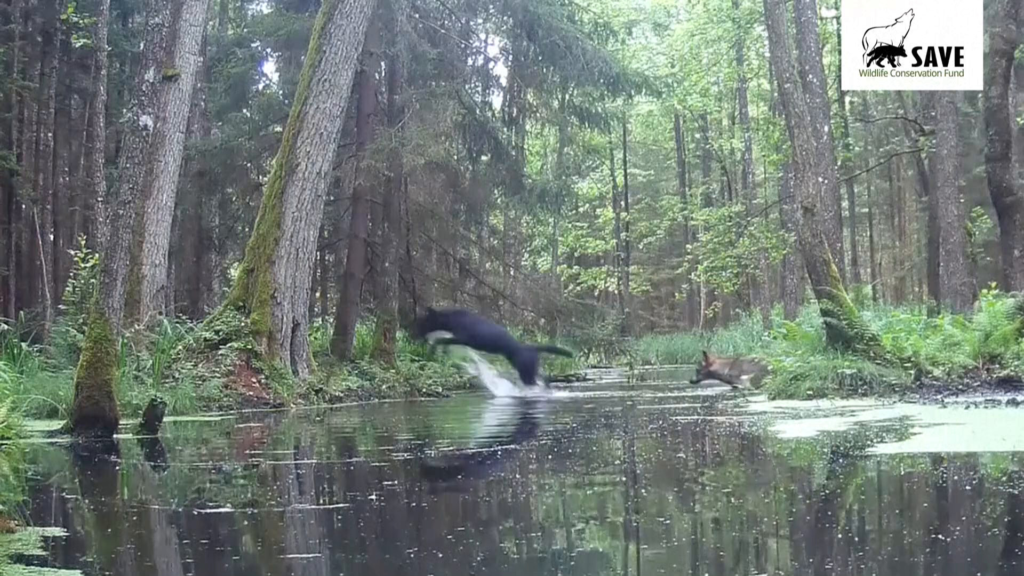 Joanna Toczydłowska