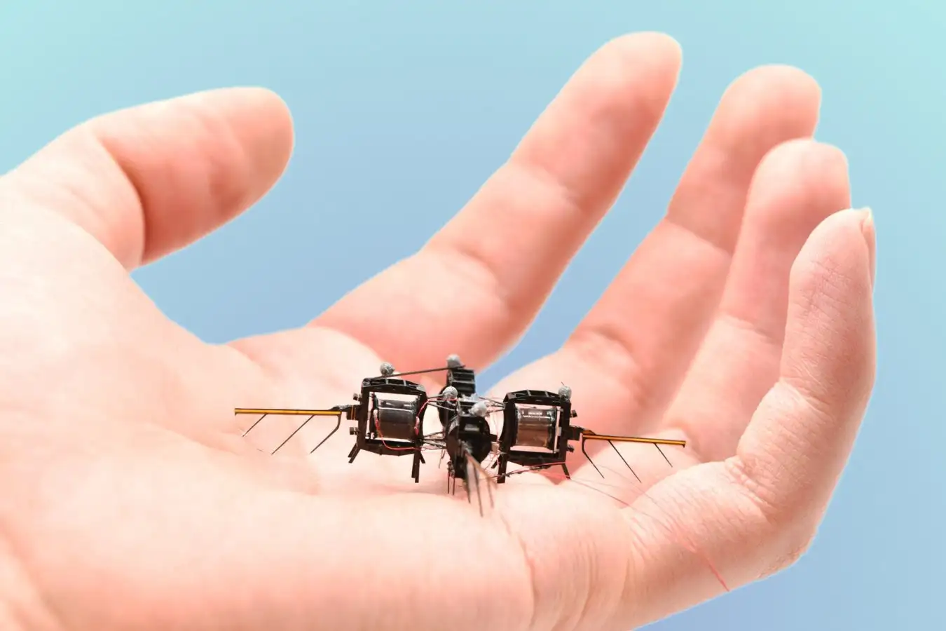 Robotic Insect Drones