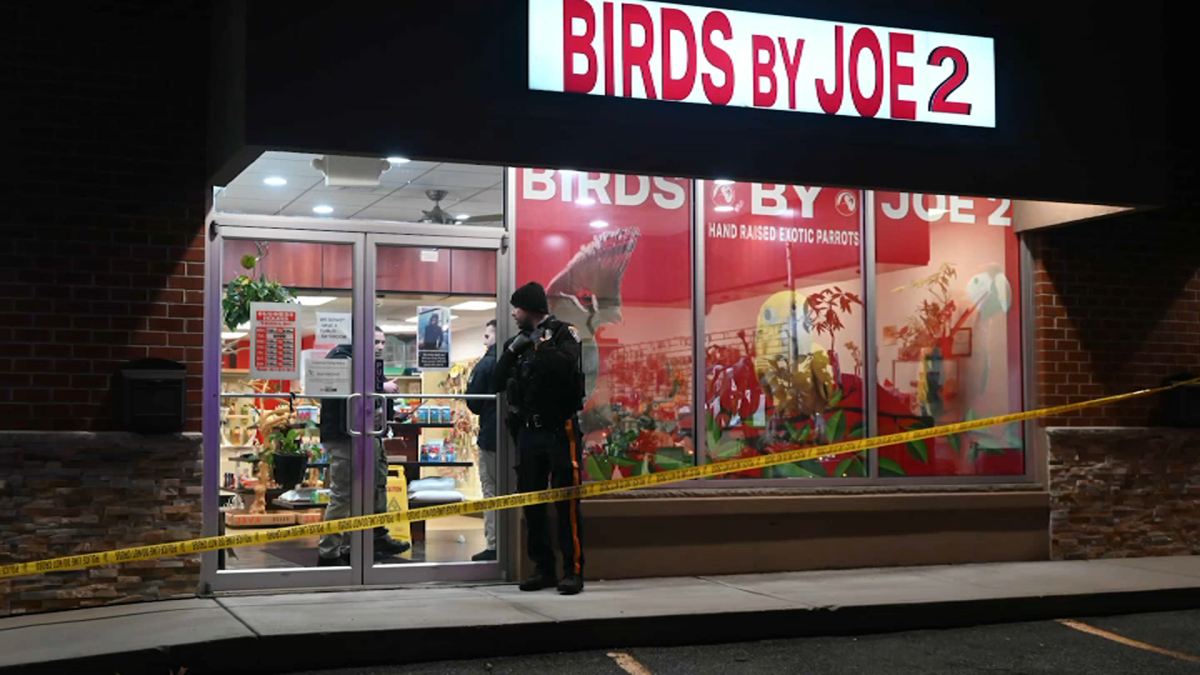 Birds by Joe 2 Owner Shot in Face with Crossbow