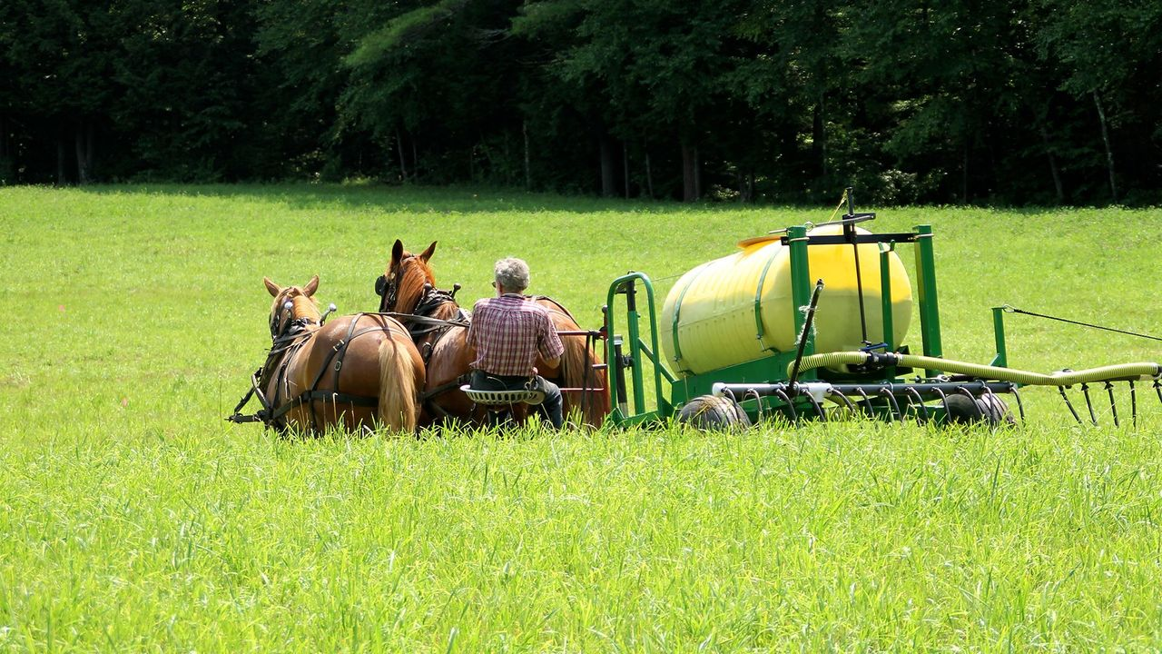 Human Urine as Fertilizer