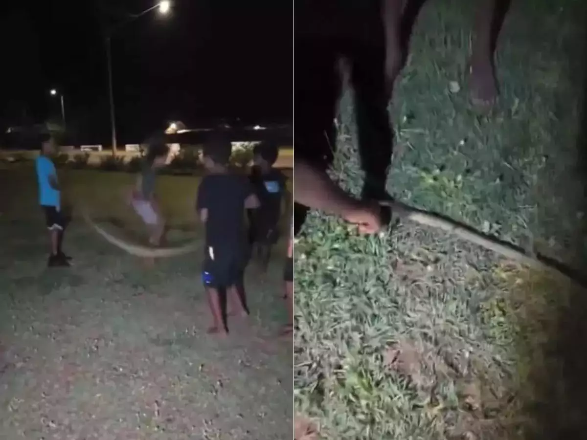 Children Use Dead Python as Skipping Rope