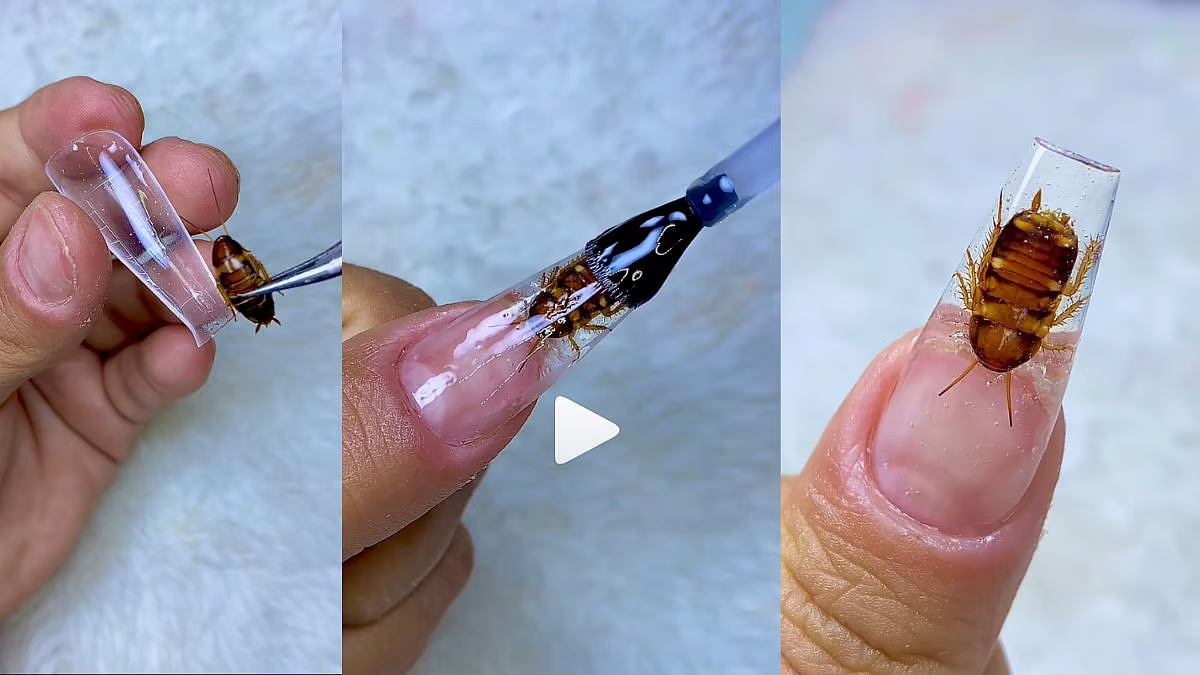 Nail Art With Cockroach Stuffed Inside