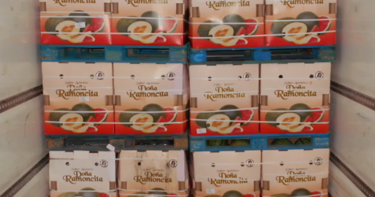 Scott McSeveney and Steven Lawson