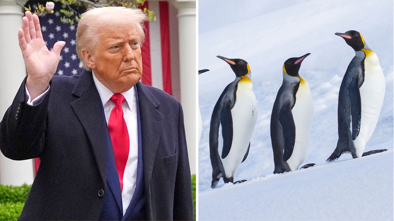 Tariff On Island Nation With Only Penguins