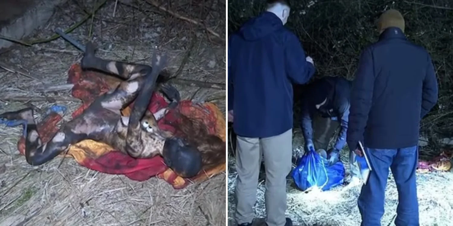 Dead Body Was Sex Doll