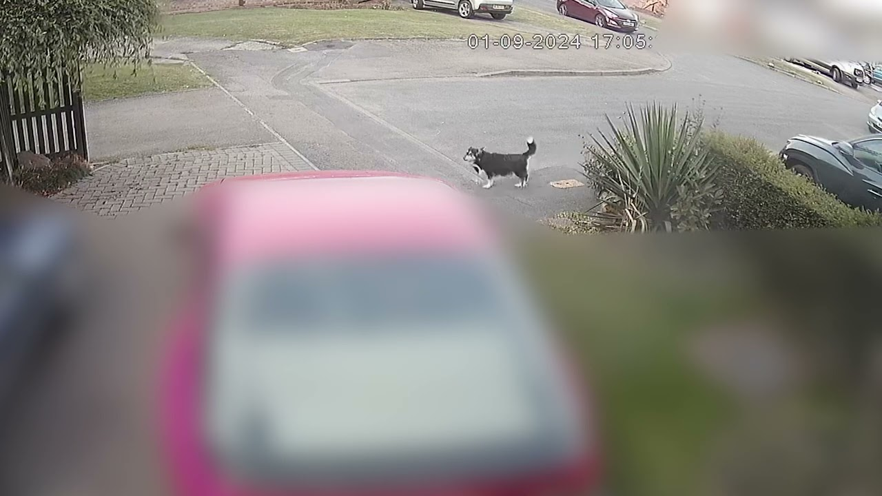 Teenagers Killed 80-Year-Old Man