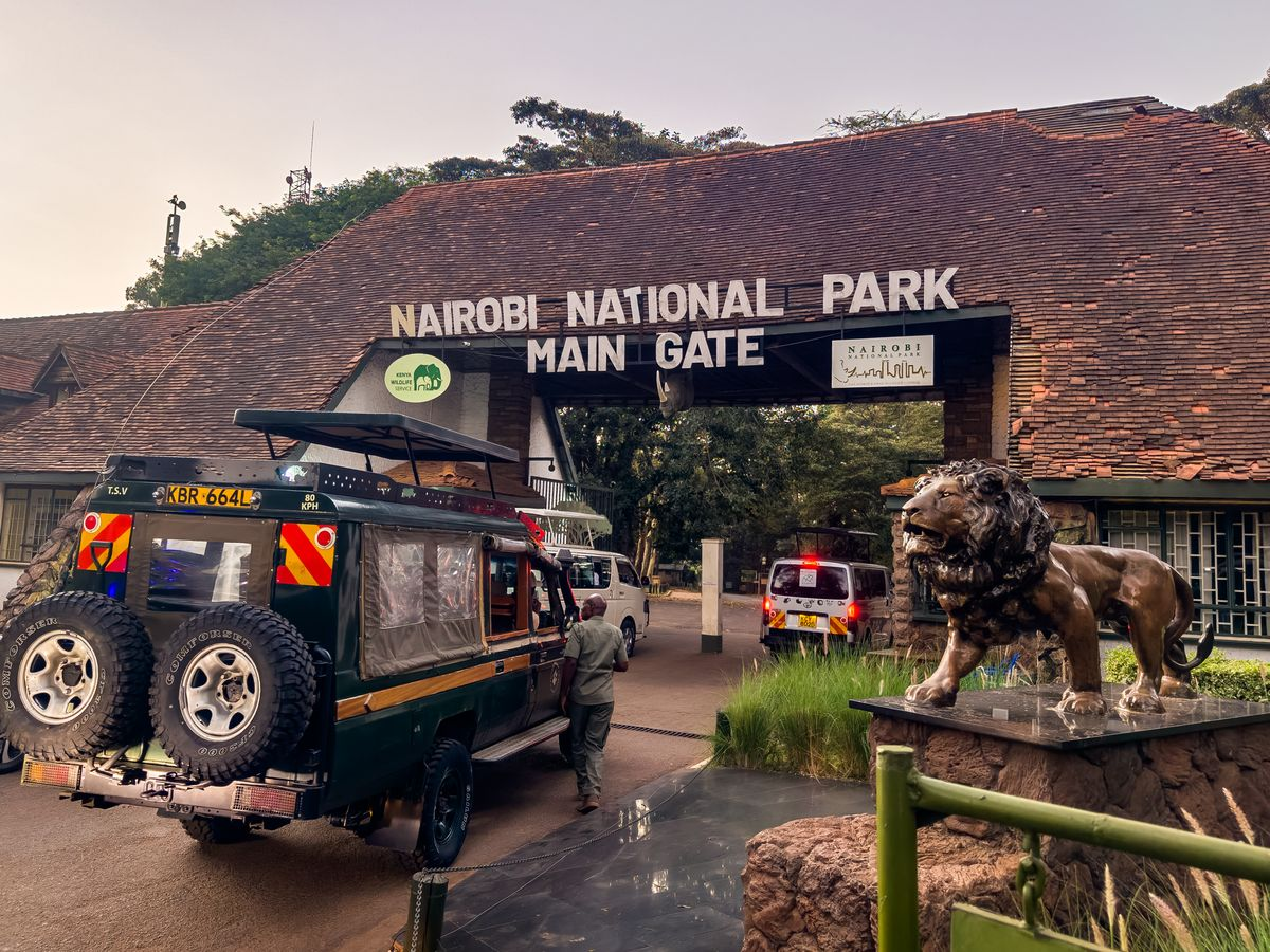 14-Year-Old Girl Mauled by Lioness
