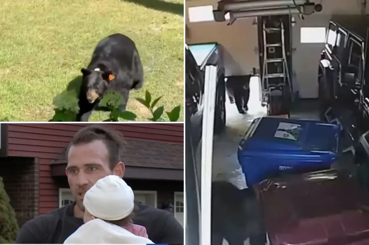 Father Arrested for Shooting a Bear