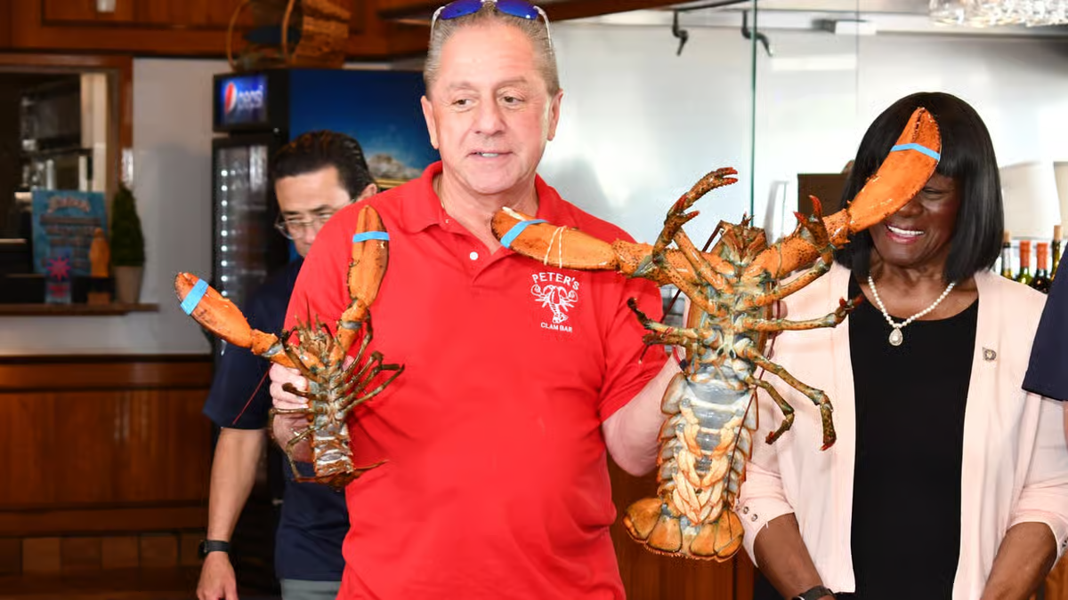 110-Year-Old Lobster