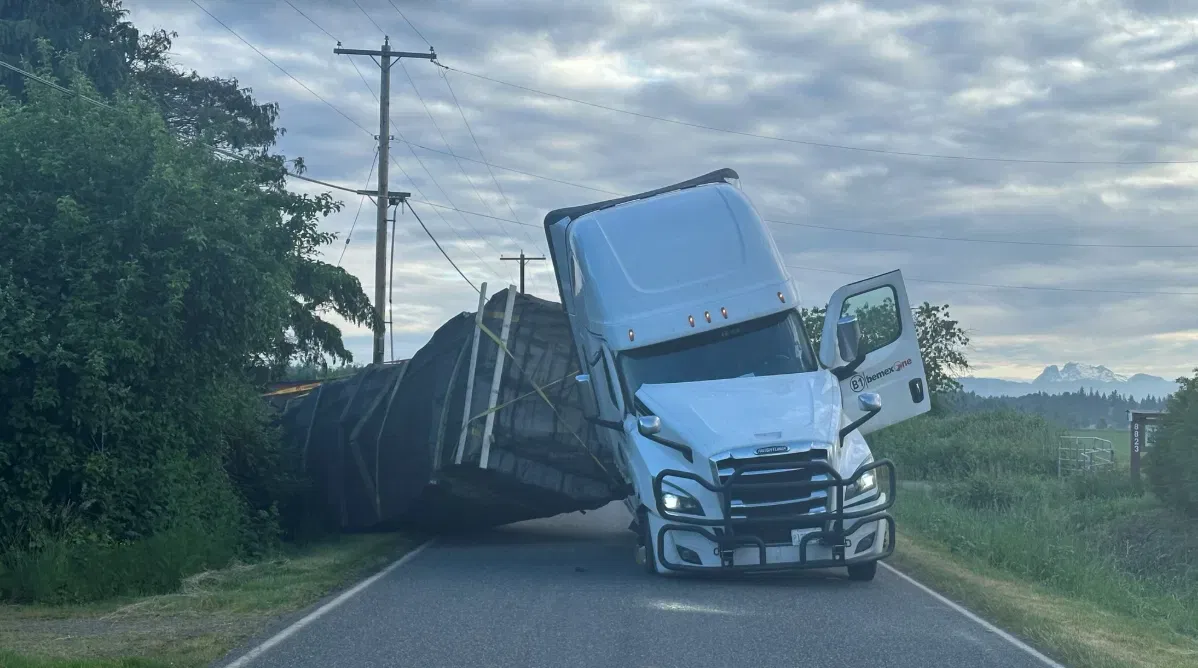 250 Million Bees Escape