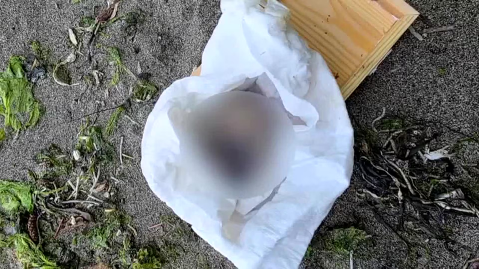Human Toe Found in Gift-Wrapped Box