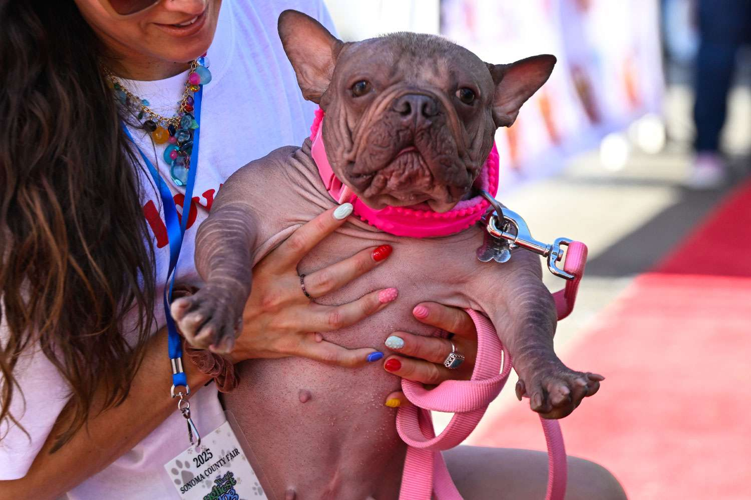 World's Ugliest Dog