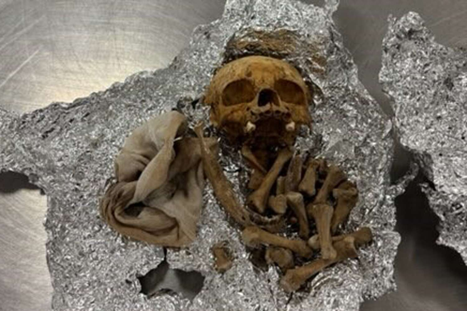 Tampa International Airport