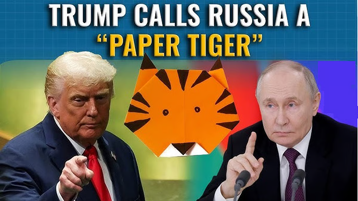 Paper Tiger