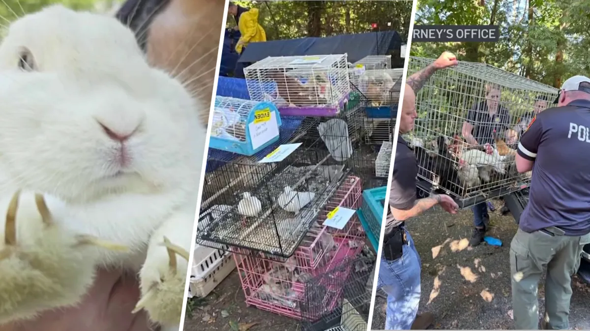 Samantha Boyd and Neal Weschler