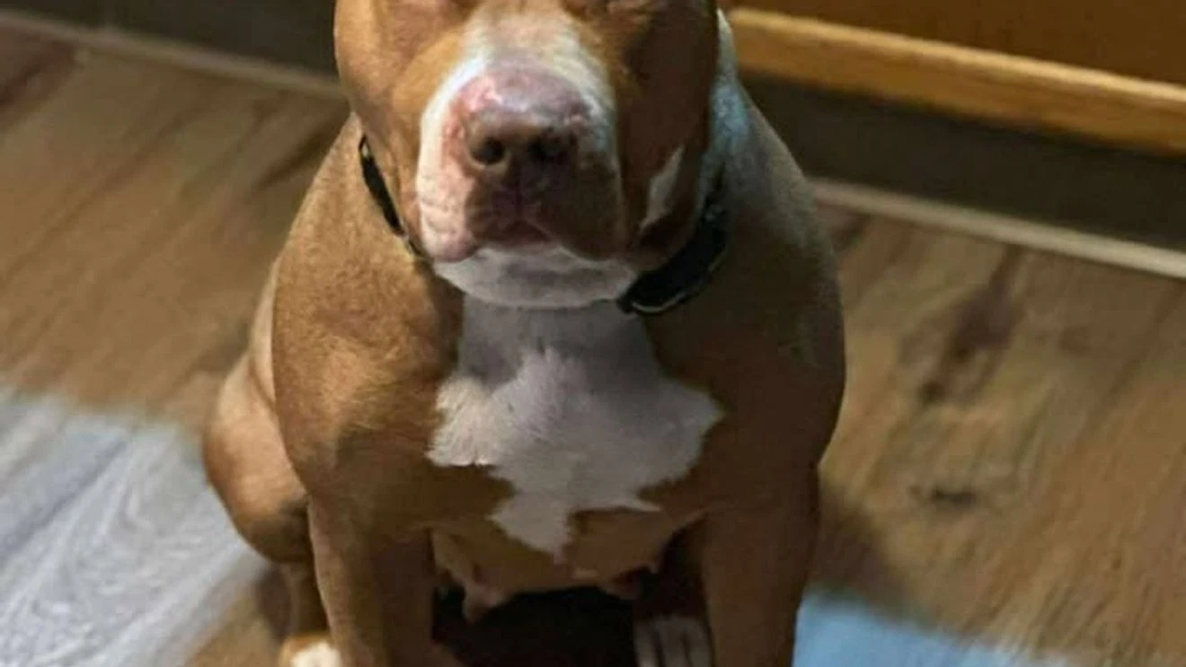 Trevor and Erika Krywokulski