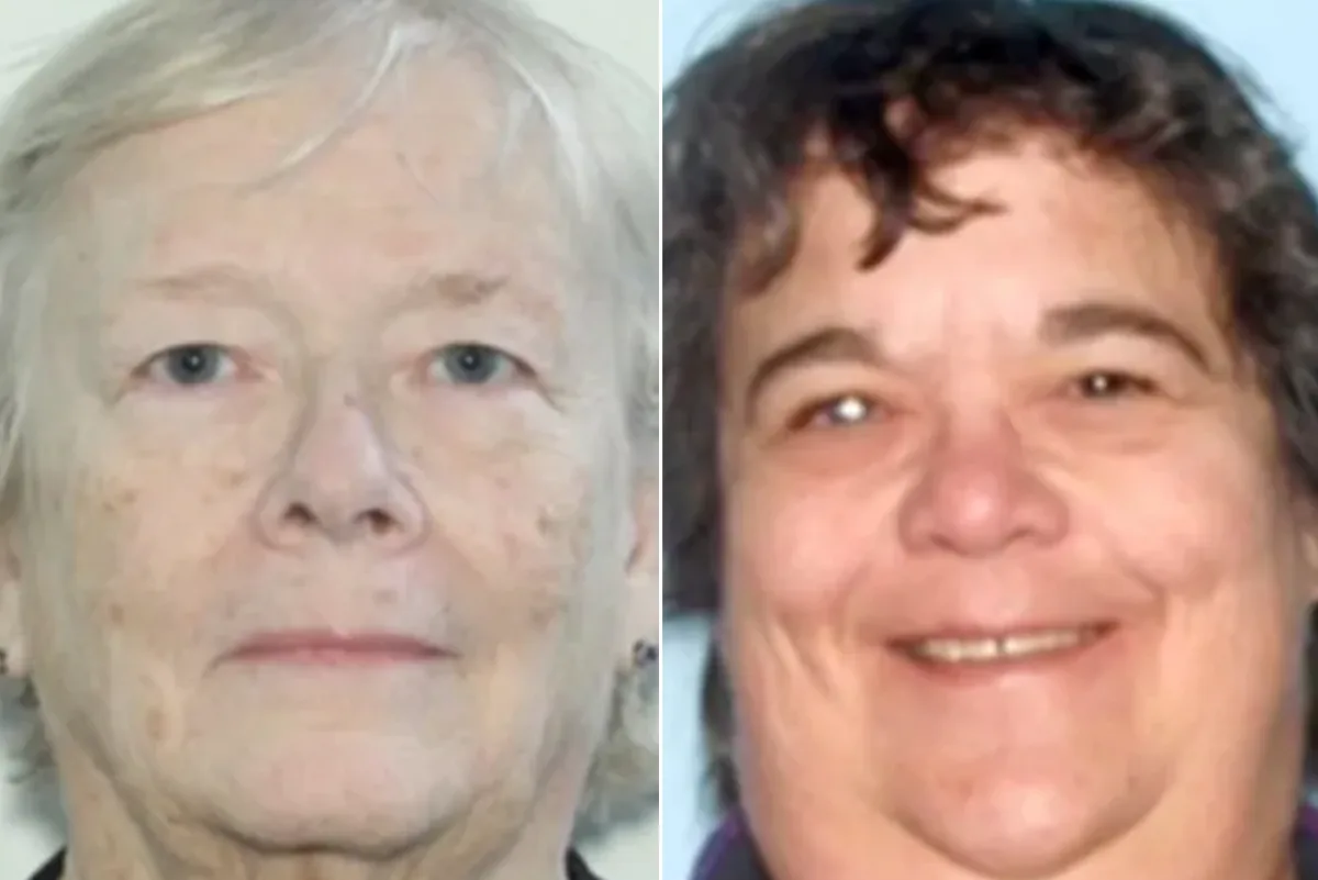 13 Dead Dogs Found Stuffed in Refrigerators