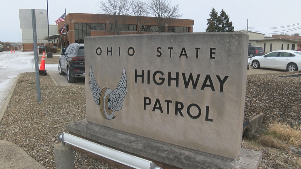 Dies After Being Struck by Pickup Truck