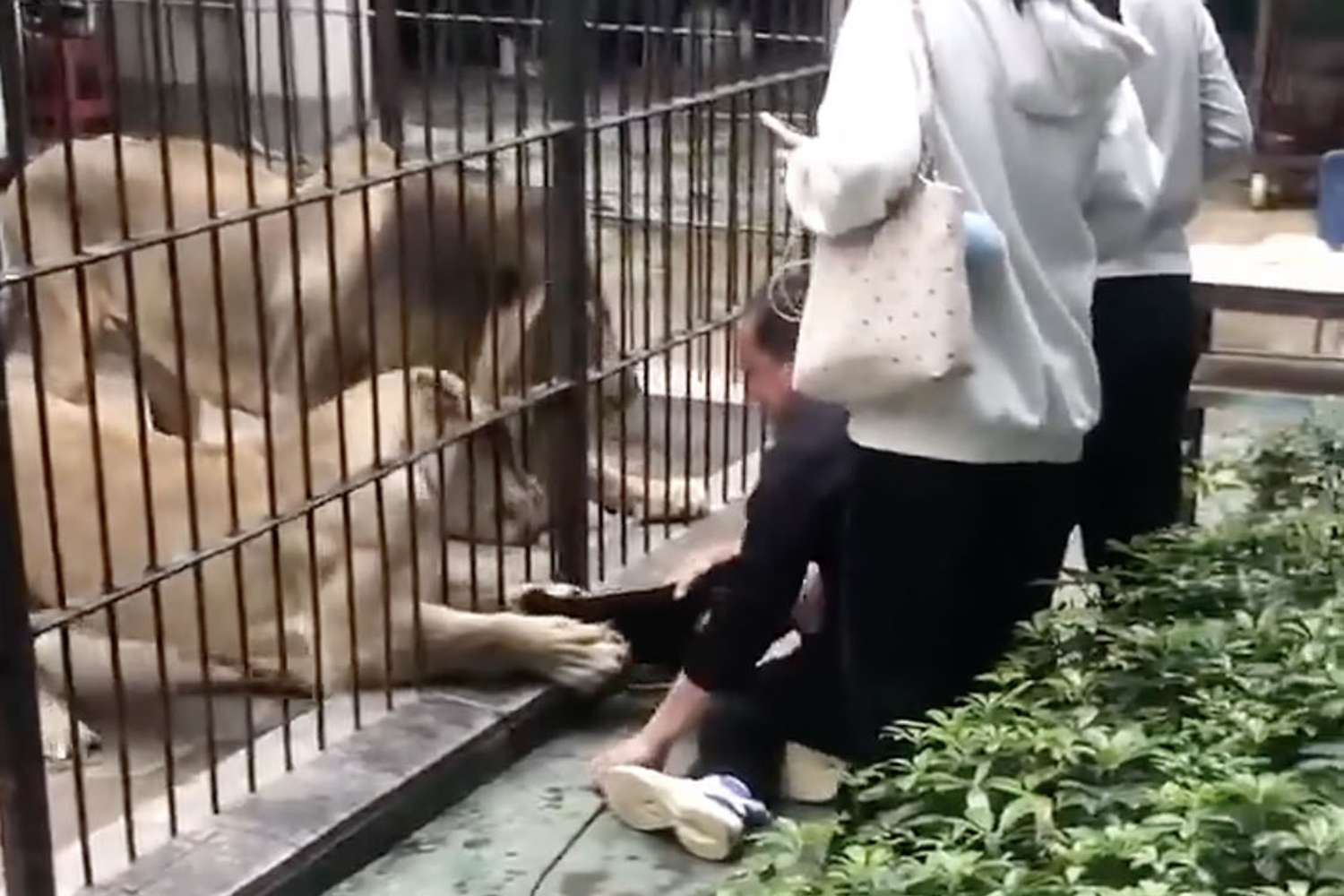 Shantou Zhongshan Park Zoo
