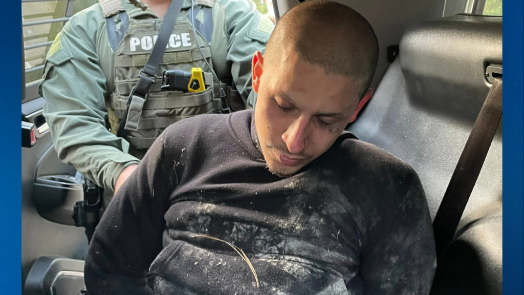 Officer Punching Handcuffed Suspect