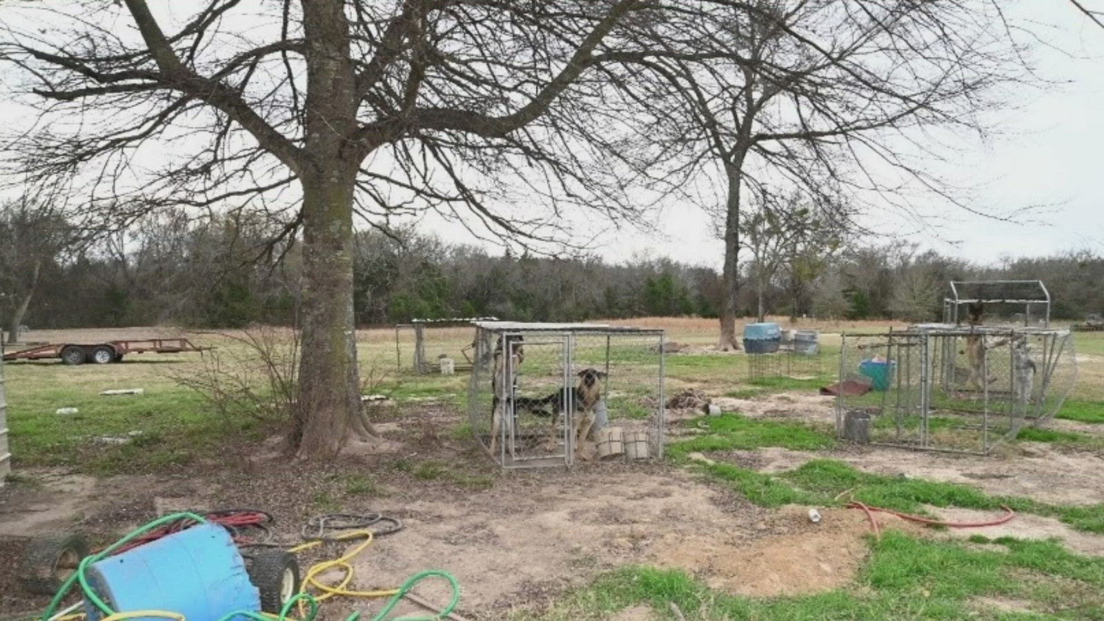 Kristine Michelle Hicks