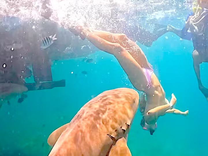 Tayane Cachoeira Dalazen