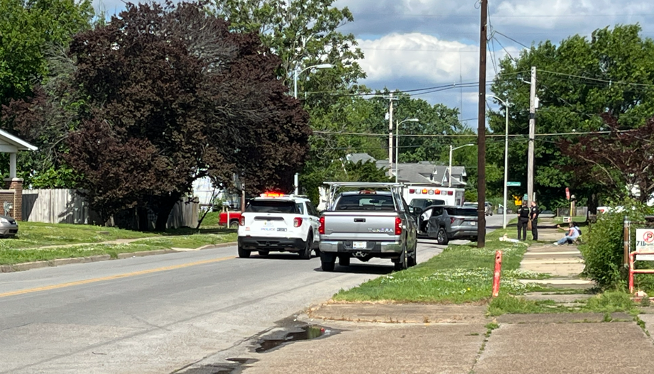 Pit Bull Found Hanging From Tree