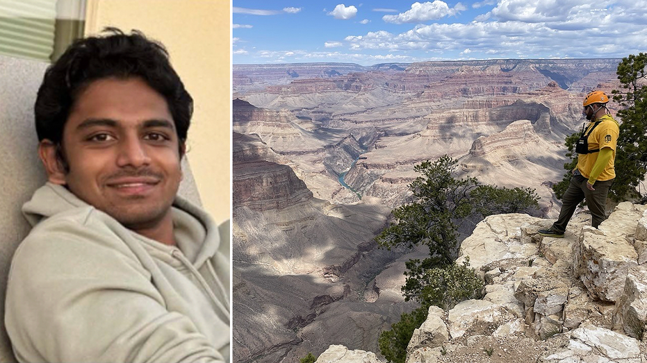 Sandarsh Krishna