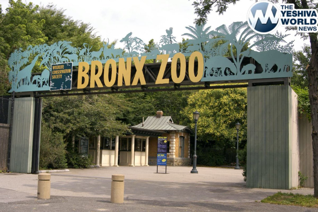 Bronx Zoo