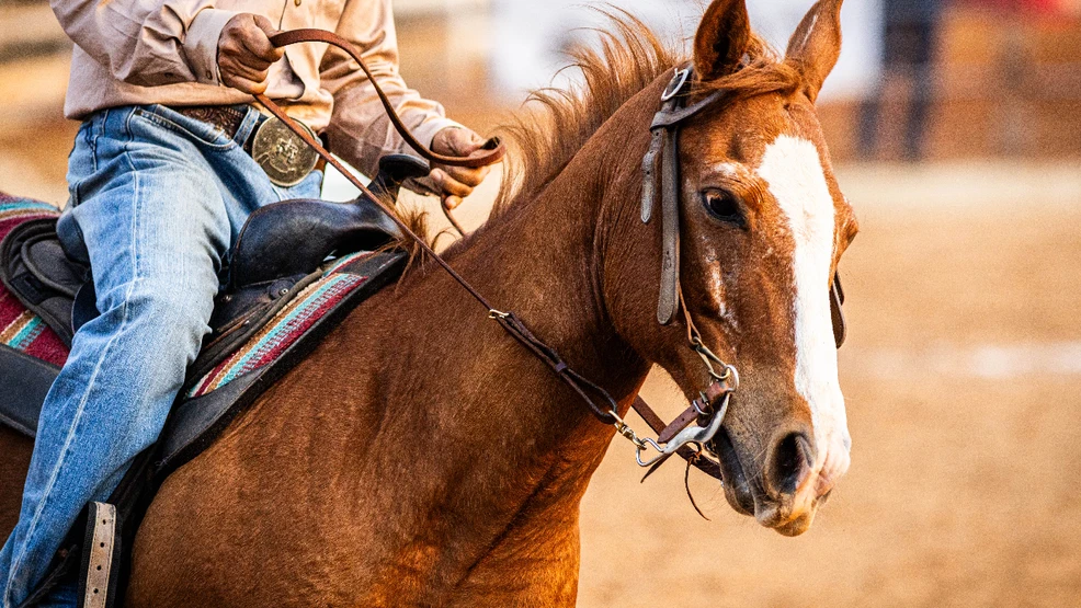 South Point Arena Equestrian Center