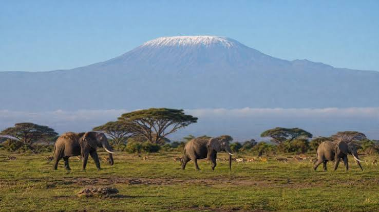 Amboseli